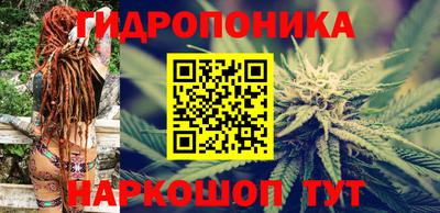 сатива Кимры