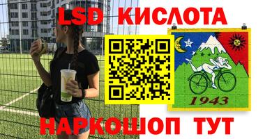 сатива Кимры