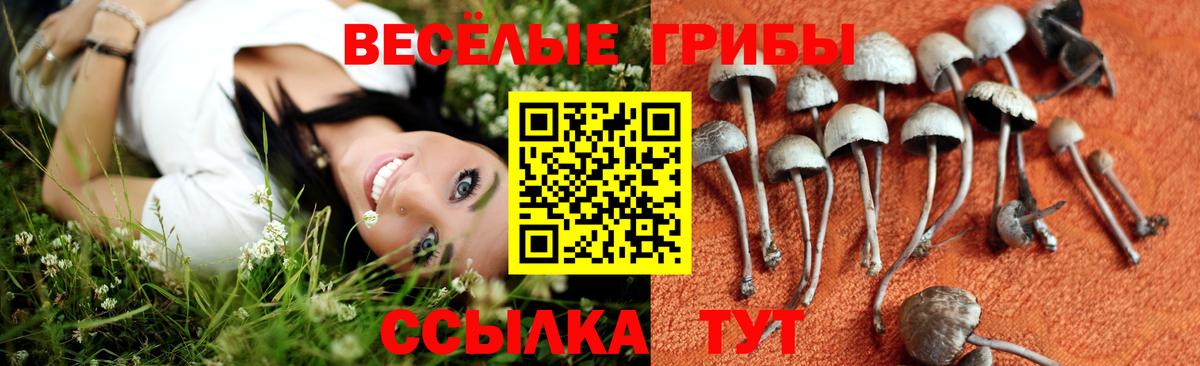 Галлюциногенные грибы ЛСД Магадан